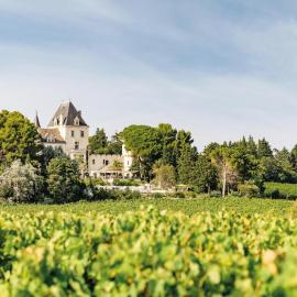 Château Les Carrasses，位于卡佩斯唐的酒店