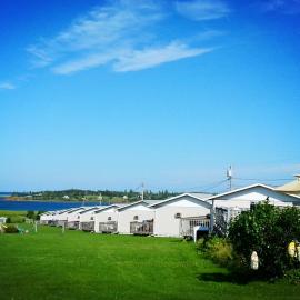 Blue Crest Cottages，位于北拉斯蒂科的酒店