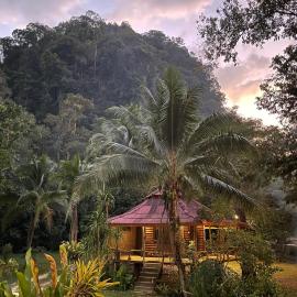 Khaosok Monkeys & River Camps，位于考索的酒店