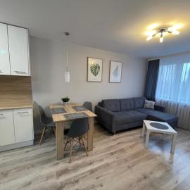 Mieszkanie w centrum z oddzielną sypialnią，位于普沃茨克的酒店
