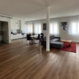 Grosse Einzimmerwohnung/Büro/Showroom，位于Seengen的酒店
