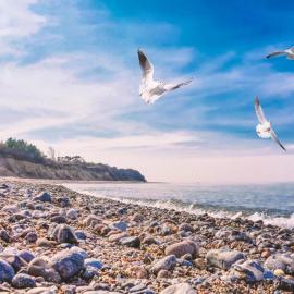 Bungalow SONNE UND MEER direkt am Strand，位于德兰斯克的酒店