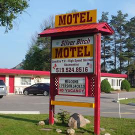 The Silver Birch Motel，位于戈德里奇的酒店