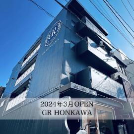 GR HONKAWA - Global Resort Hotel，位于广岛的酒店