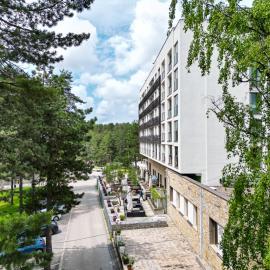 Hotel Palisad，位于兹拉蒂博尔的酒店