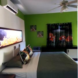 Cas Bed and Breakfast，位于Corral Spring的酒店