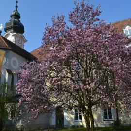 Haus der Begegnung Heilig Geist,位于布格豪森的酒店
