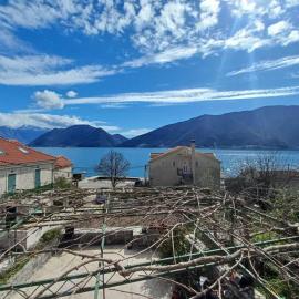 villa branka，位于Strp的酒店