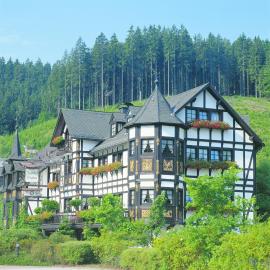 Hotel Jagdhof Glashütte，位于巴特拉斯费的酒店