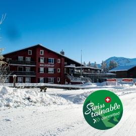 Hotel Malixerhof,位于马里克斯的酒店
