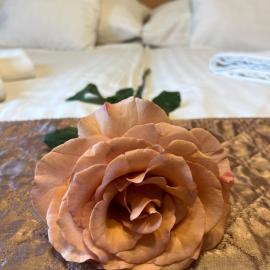 Hotel Rose City,位于布达佩斯的酒店