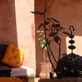 Riad Menthe Et Citron，位于梅克内斯的酒店