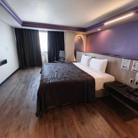 Hotel Max，位于墨西哥城的酒店