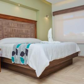 HOTEL ECLIPSE TOLUCA，位于托卢卡的酒店