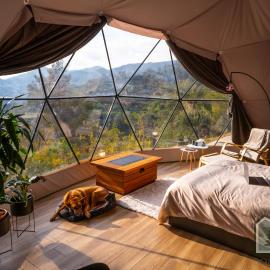 Dome in Nature，位于拉纳卡的酒店