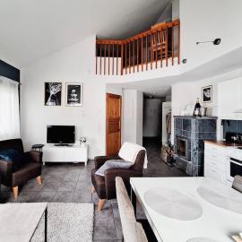 Party condo in the center of Levi，位于列维的酒店