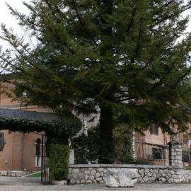 LH Albergo il Picchio，位于佩斯卡塞罗利的酒店