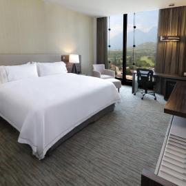 Holiday Inn Express & Suites Monterrey Valle by IHG，位于蒙特雷的酒店