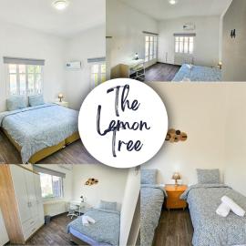 The Lemon Tree Hostel，位于拉纳卡的酒店