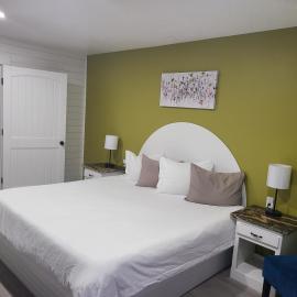 Blue Sky Inn- Complimentary Happy Hour Th-Sun, Veteran owned, Full Breakfast, Best green space, 1 mile from Blue Ridge, Fire Pit，位于蓝岭的酒店