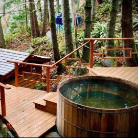 Sungate on Salt Spring - Luxurious Suite with Cedar Hot Tub & View，位于Salt Spring Island的酒店