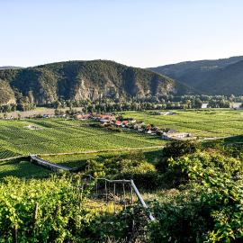 Winzerhof Mörtinger，位于杜伦斯坦的酒店