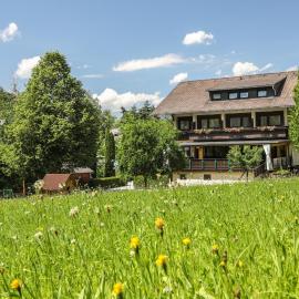 Gasthof Leitner - Der Wirt an der Klamm，位于Donnersbach的酒店