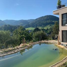 Chez Svanette B&B Villa Sonnglück，位于Zullwil的酒店
