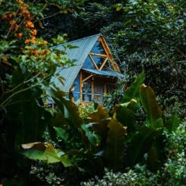 Boscaje Solarpunk Habitat，位于La Gran Via的酒店