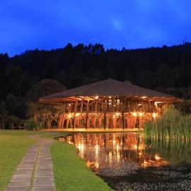 Estelar Recinto Del Pensamiento Hotel Y Centro De Convenciones，位于马尼萨莱斯的酒店