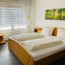 Ferienwohnung Raevenhof，位于Ayl的酒店