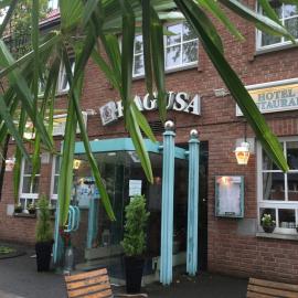 Hotel Ragusa，位于多尔马根的酒店