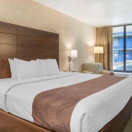Quality Inn Vienna - Tysons Corner，位于泰森斯角的酒店