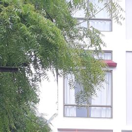 Paul's Inn，位于锡尔杰尔的酒店