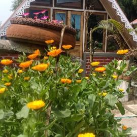 Cheeyabari Oaks Homestay，位于Sonāda的酒店