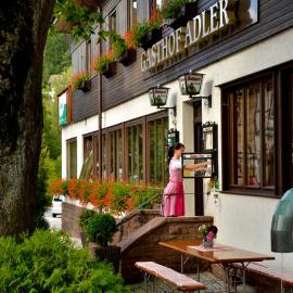 Gasthof Adler，位于滕嫩布罗恩的酒店