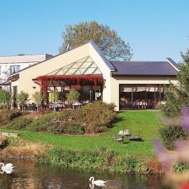 L'Hôtel des Bords de L'ill,位于埃尔施泰因的酒店
