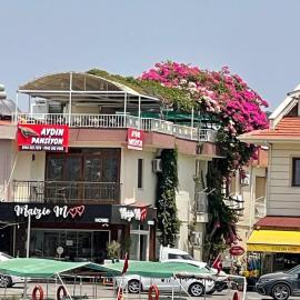 Aydın Pansiyon，位于奥尔塔贾的酒店