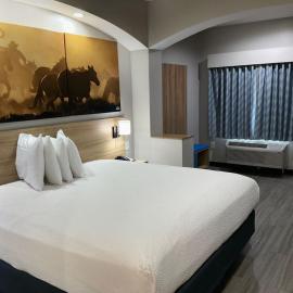 Days Inn by Wyndham Humble/Houston Intercontinental Airport，位于亨博尔的酒店
