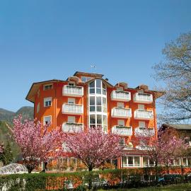 Nature Bio Hotel Elite,位于莱维科特尔梅的酒店