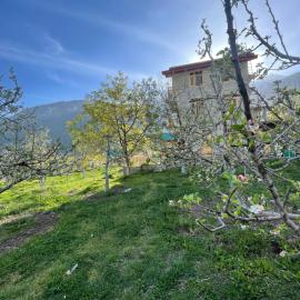 heavens retreat manali，位于马拉里的酒店