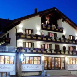 Hotel Presena,位于帕苏德尔托纳莱的酒店