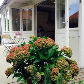 Tiny House Madame Jeanette nabij centrum en zee，位于赞德沃特的酒店