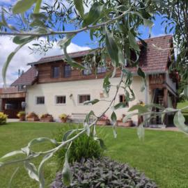 Promschhof，位于Semriach的酒店