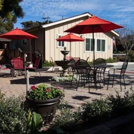 Monterey Peninsula Inn，位于太平洋丛林的酒店
