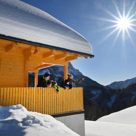 Cottage Osojnik - Alpine escape with Wellness，位于索尔察瓦的酒店