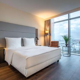 Radisson Blu Hotel Frankfurt，位于美因河畔法兰克福的酒店