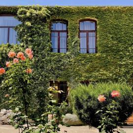 Guesthouse Edena，位于安布罗劳里的酒店
