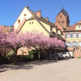 Logis Hôtel-Restaurant du Herrenstein，位于讷维莱尔－莱萨韦讷的酒店