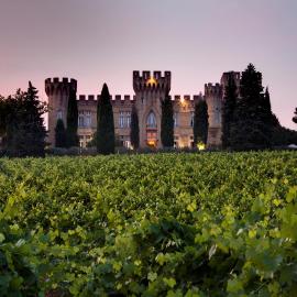 Hostellerie du Château des Fines Roches，位于教皇新堡的酒店